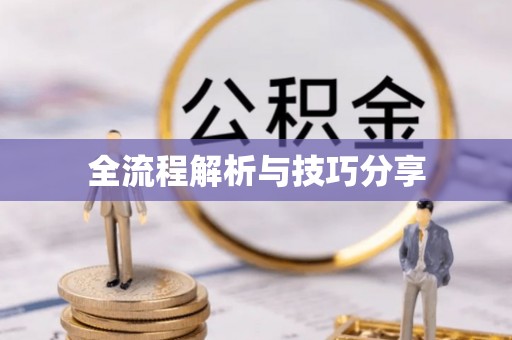 静宁全流程解析与技巧分享